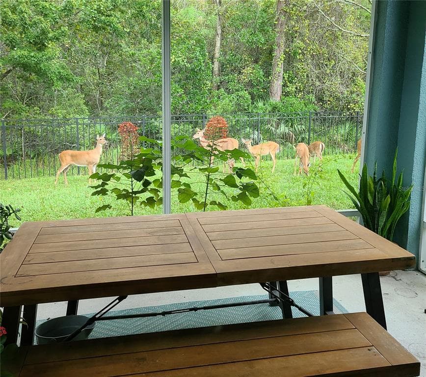 11150 PARADISE POINT Way, NEW PORT RICHEY, FL 34654 photo 4