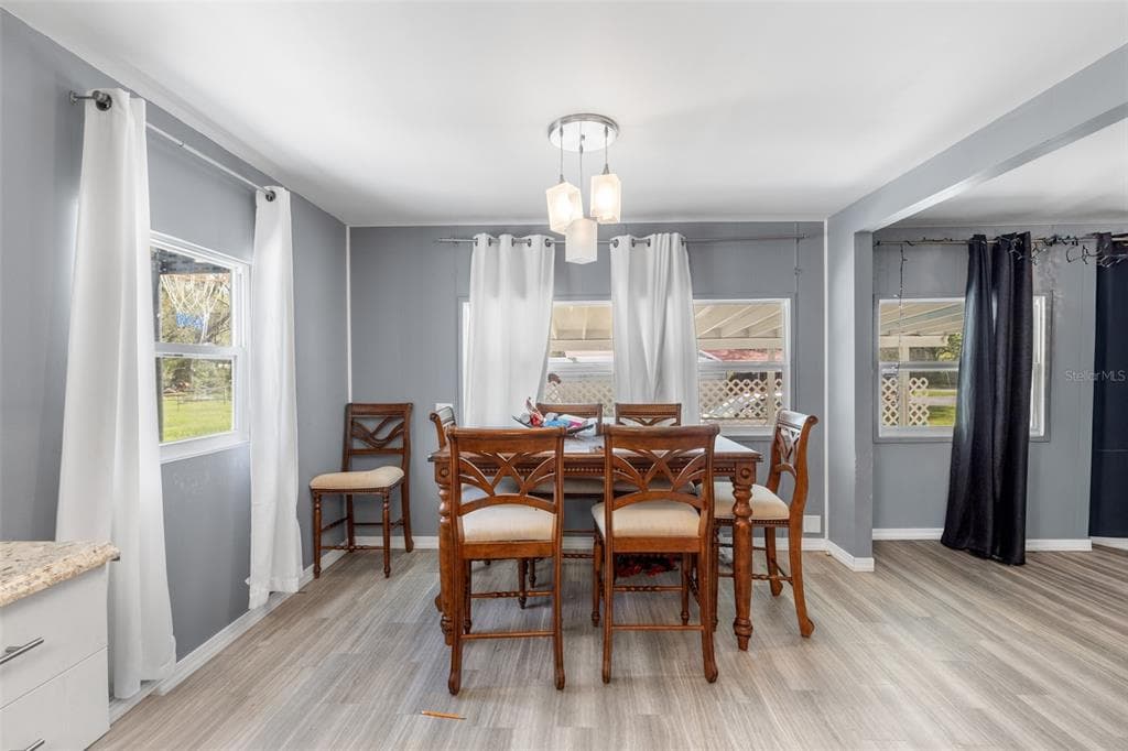 3822 ALICE Drive, WESLEY CHAPEL, FL 33543 photo 4