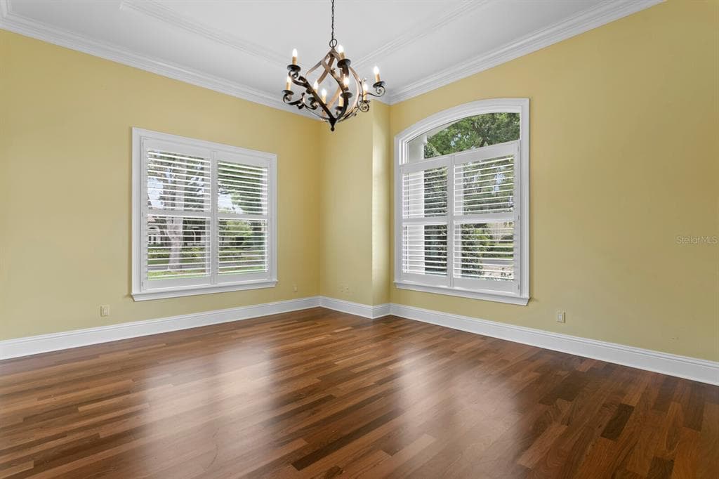 16504 AVILA Boulevard, TAMPA, FL 33613 photo 5