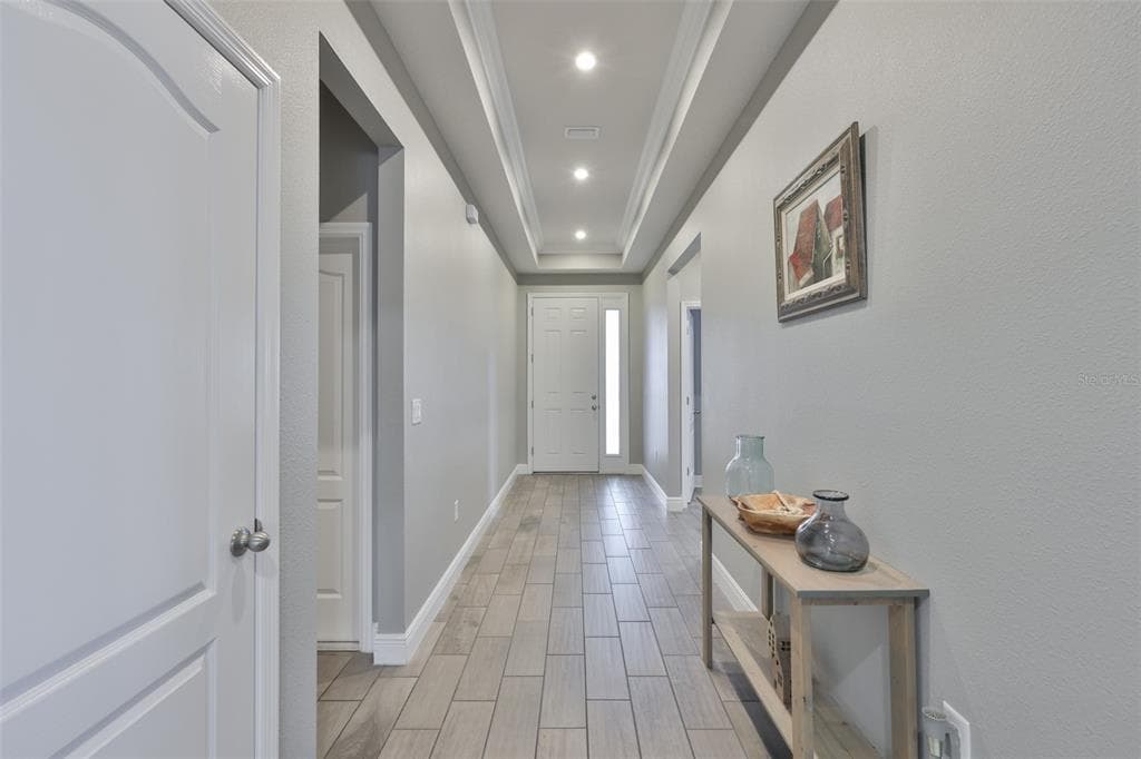 11718 LAKE LUCAYA Drive, RIVERVIEW, FL 33579 photo 3