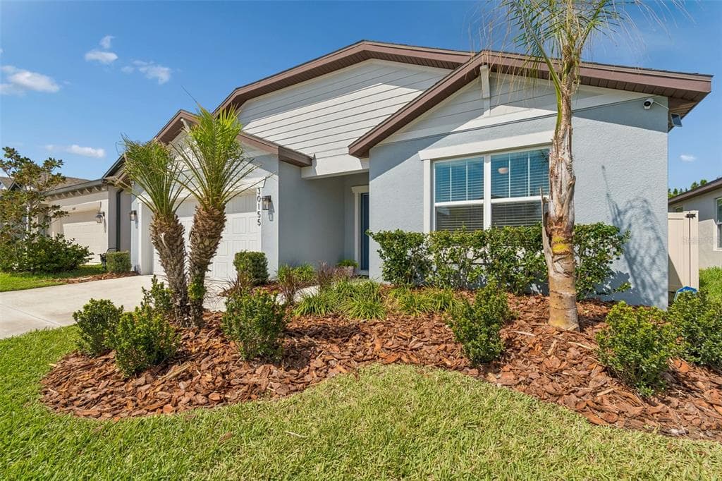 30155 MERILEE PLACE, WESLEY CHAPEL, FL, 33545