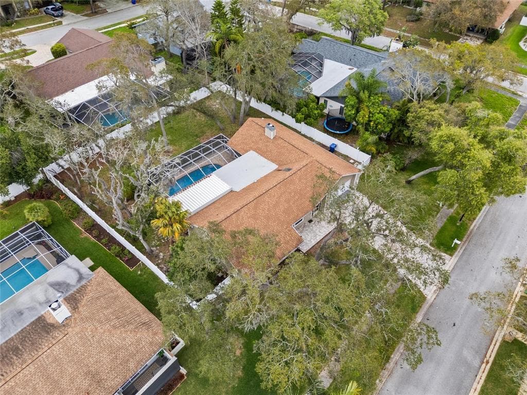 3088 ENISGLEN DRIVE, PALM HARBOR, FL, 34683 photo 3