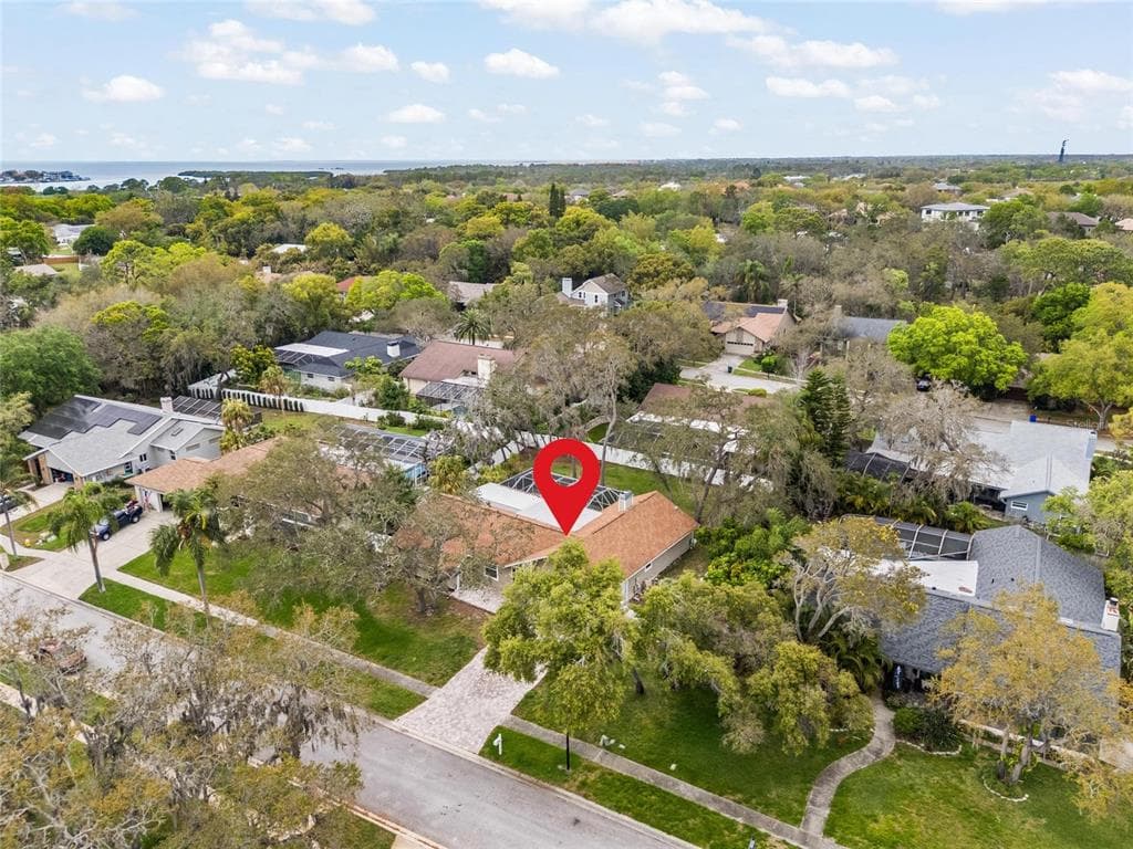 3088 ENISGLEN DRIVE, PALM HARBOR, FL, 34683 photo 4