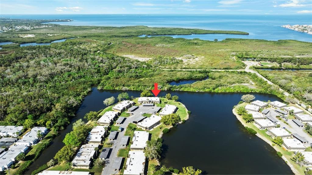 4110 HAMPTON Drive, NEW PORT RICHEY, FL 34652 photo 4