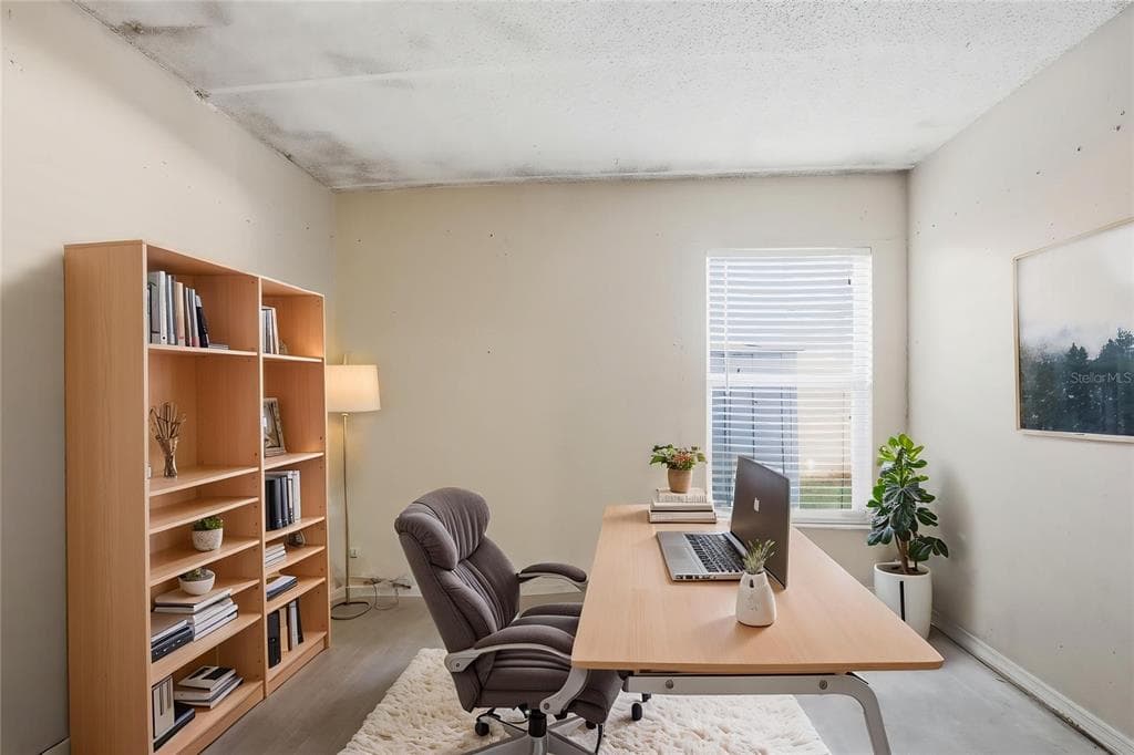 4205 TALL OAK Lane, NEW PORT RICHEY, FL 34653 photo 5