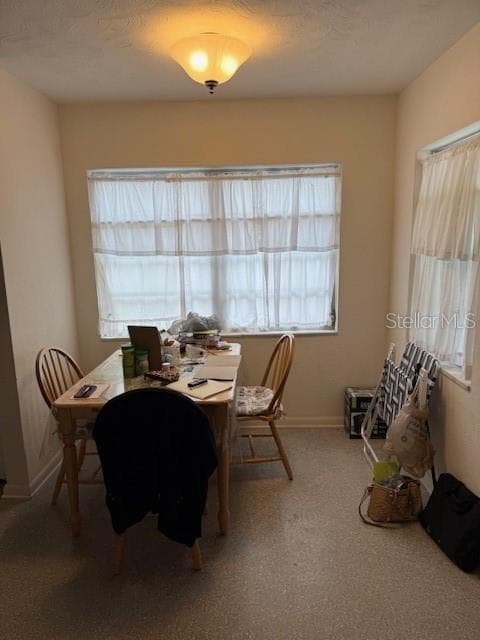 3203 IVY Street, TAMPA, FL 33607 photo 5