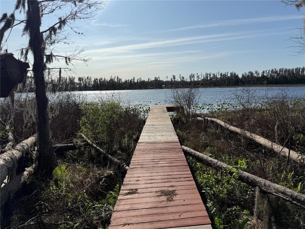 17011 ALDERMAN TURNER ROAD, WIMAUMA, FL, 33598 photo 5