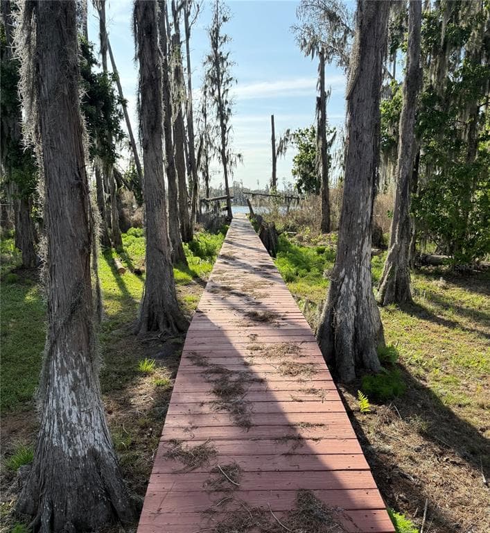 17011 ALDERMAN TURNER ROAD, WIMAUMA, FL, 33598 photo 4