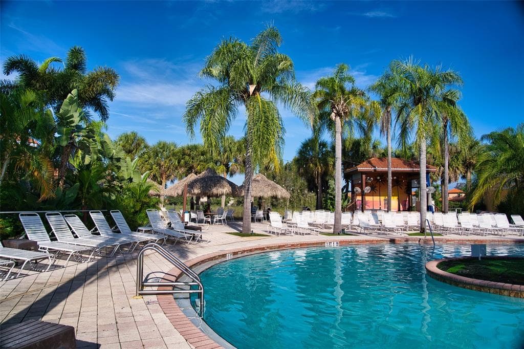 6816 DALI Avenue Unit 201, LAND O LAKES, FL 34637 photo 5