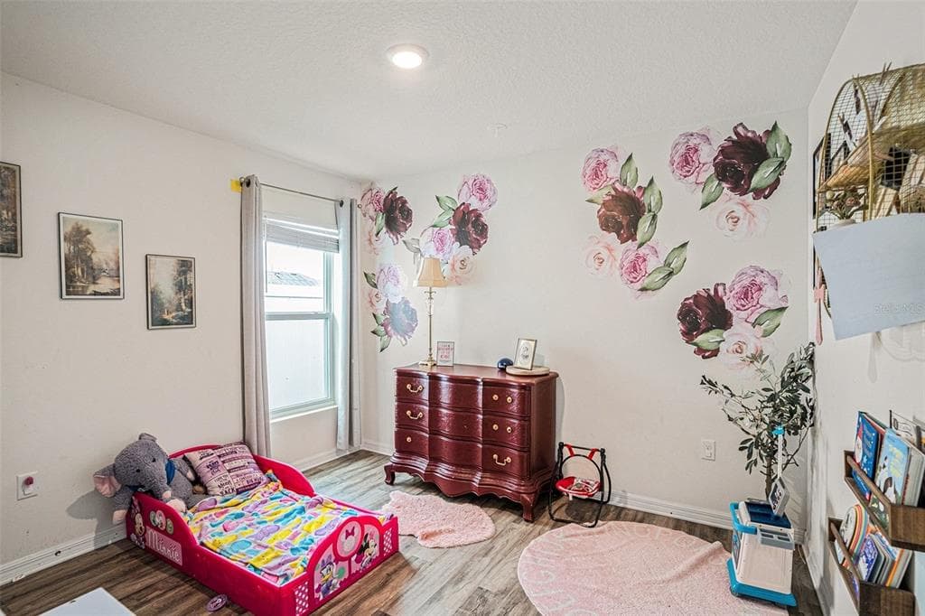 429 OLIVE CONCH Street, RUSKIN, FL 33570 photo 5