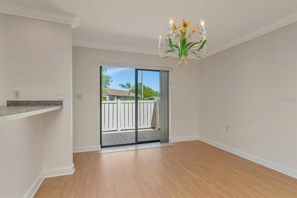 240 TADS TRAIL, OLDSMAR, FL, 34677 photo 4