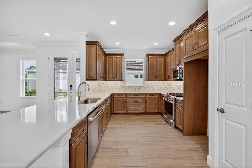 3909 FRACCARETA Way, WESLEY CHAPEL, FL 33543 photo 2