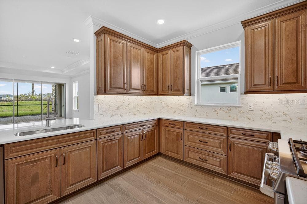 3909 FRACCARETA Way, WESLEY CHAPEL, FL 33543 photo 3