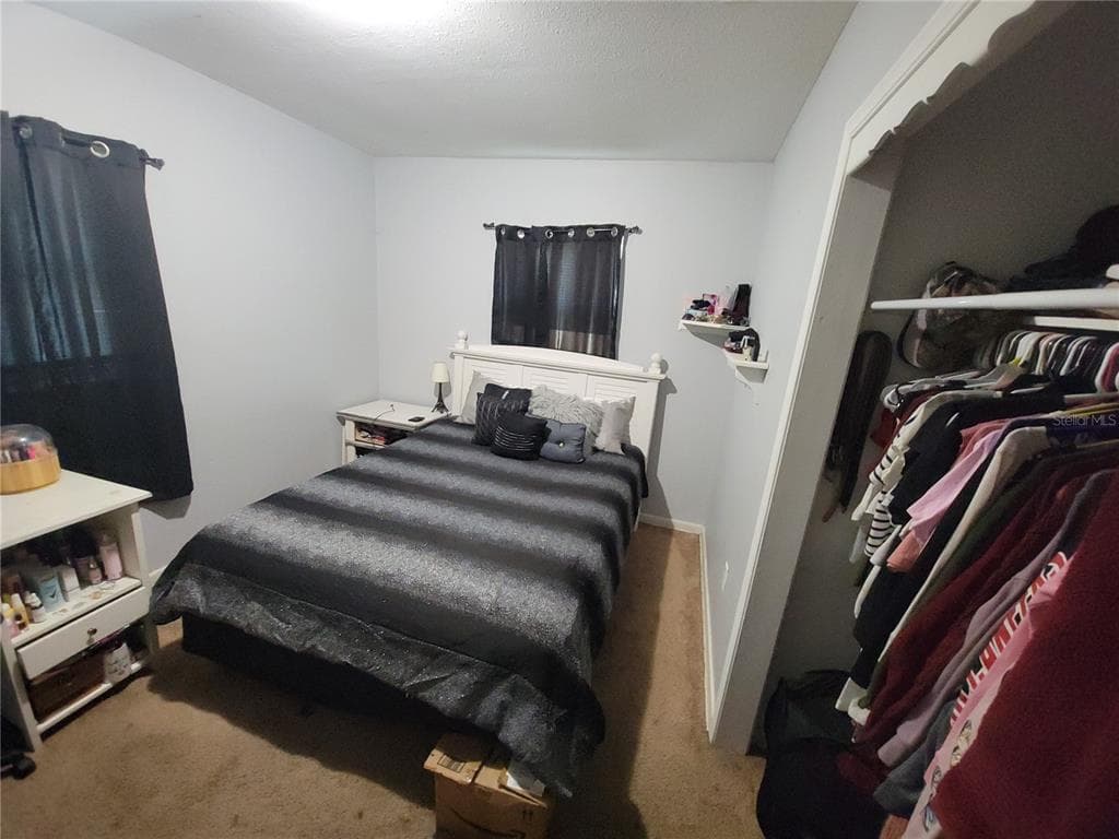 905 MONROE Street, PLANT CITY, FL 33563 photo 5