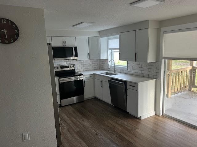 5026 MOOG ROAD, HOLIDAY, FL, 34690 photo 4