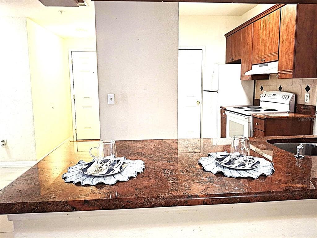 13304 SANCTUARY COVE Drive Unit 303, TEMPLE TERRACE, FL 33637 photo 2