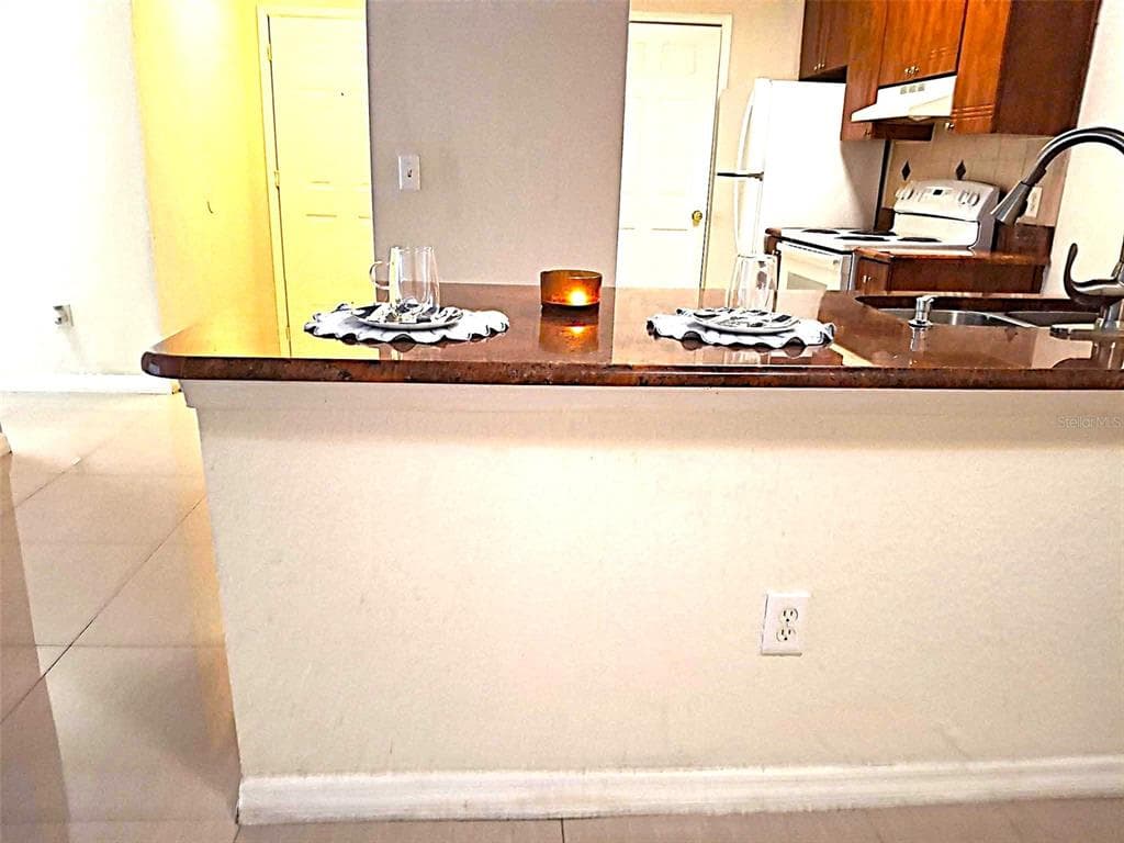 13304 SANCTUARY COVE Drive Unit 303, TEMPLE TERRACE, FL 33637 photo 4