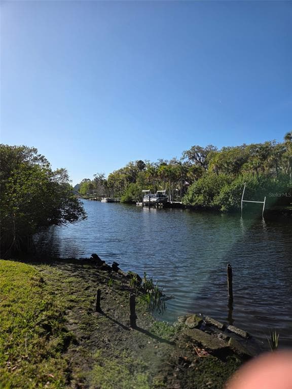 5651 MONROE Street, NEW PORT RICHEY, FL 34653 photo 5