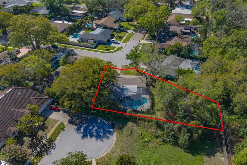 1967 CASTILLE DRIVE, DUNEDIN, FL, 34698 photo 4