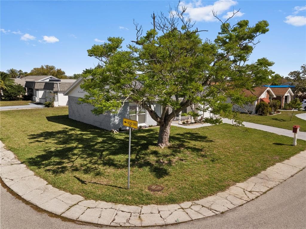 3317 HONEYMOON LANE, HOLIDAY, FL, 34691 photo 3