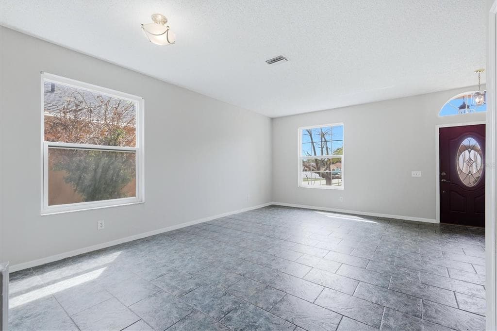 919 GRAND CANYON DRIVE, VALRICO, FL, 33594 photo 4