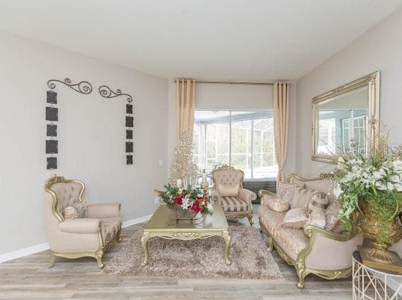 23635 OAKSIDE BOULEVARD, LUTZ, FL, 33559 photo 4