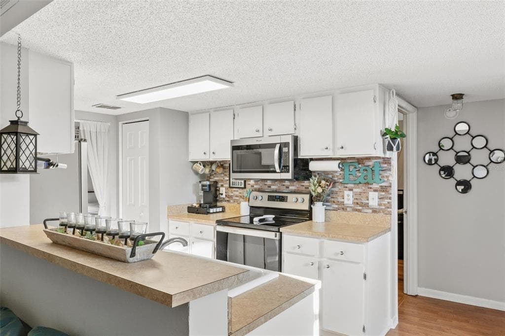 12231 ARMENIA GABLES CIRCLE, TAMPA, FL, 33612 photo 5