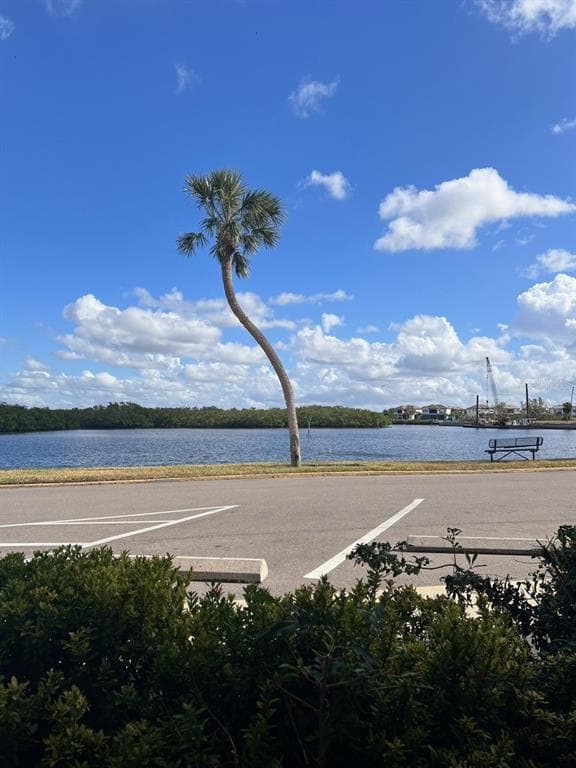 611 DESTINY DRIVE, Unit# 115, RUSKIN, FL, 33570 photo 2
