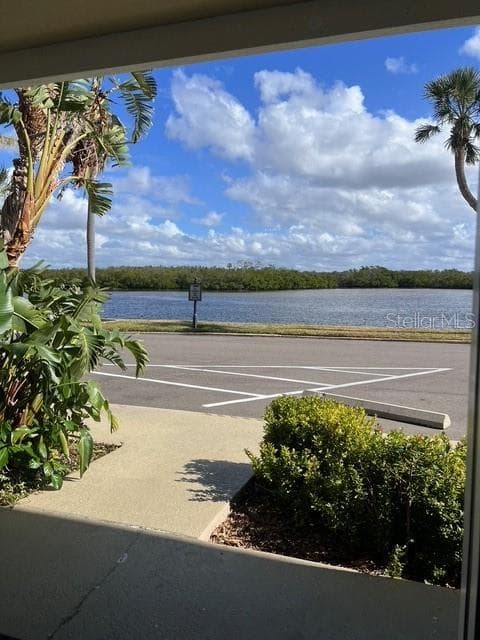 611 DESTINY DRIVE, Unit# 115, RUSKIN, FL, 33570 photo 3