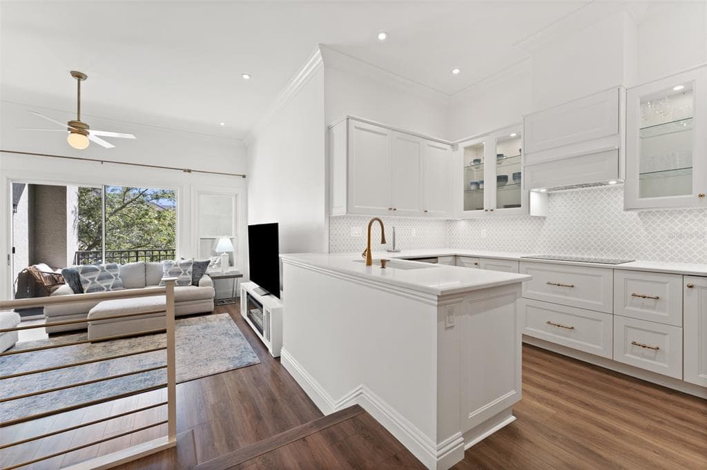 625 TROPICAL BREEZE WAY, TAMPA, FL, 33602 photo 2