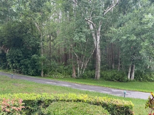 1258 PINE RIDGE CIRCLE, Unit# F1, TARPON SPRINGS, FL, 34688 photo 2