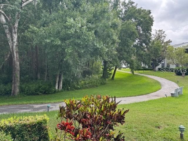 1258 PINE RIDGE CIRCLE, Unit# F1, TARPON SPRINGS, FL, 34688 photo 3