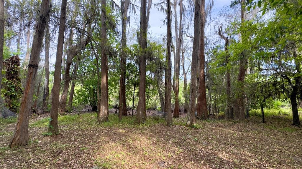 12341 DEER LAKE DRIVE, NEW PORT RICHEY, FL, 34654 photo 2