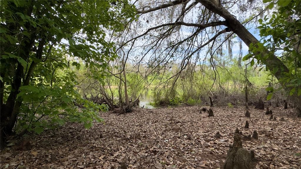 12341 DEER LAKE DRIVE, NEW PORT RICHEY, FL, 34654 photo 3