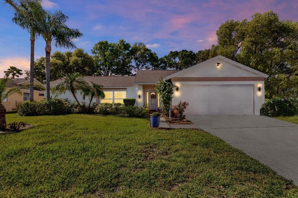 9806 Didrikson Drive, New Port Richey, FL, 34655