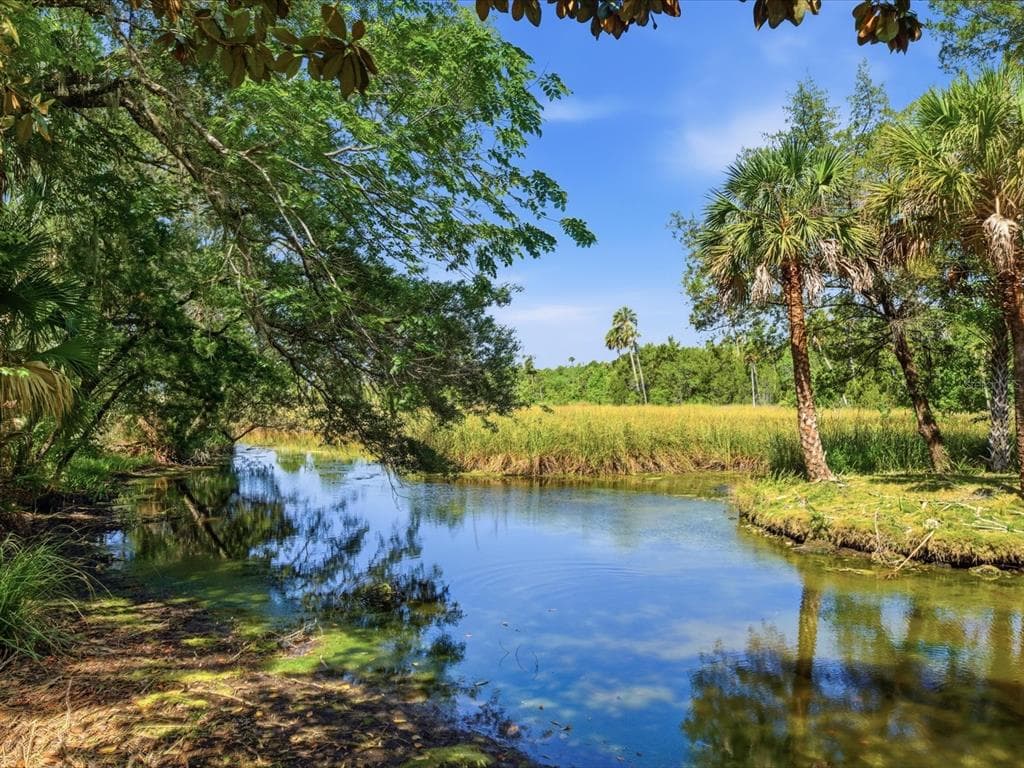 8979 W White Dogwood Drive, Homosassa, FL, 34448