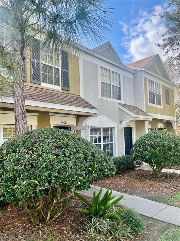 29916 Alta Vita Lane, Wesley Chapel, FL, 33543