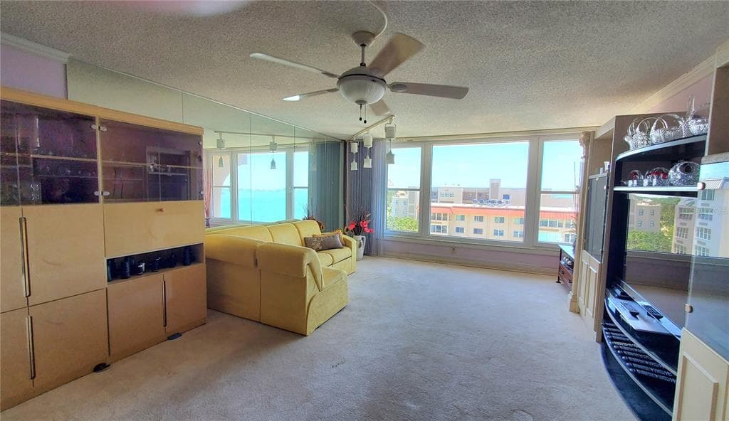 632 EDGEWATER DRIVE Unit 832, DUNEDIN, FL 34698 photo 5