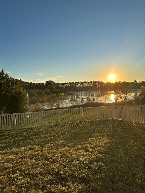 19592 BREYNIA DRIVE, LUTZ, FL 33558 photo 3