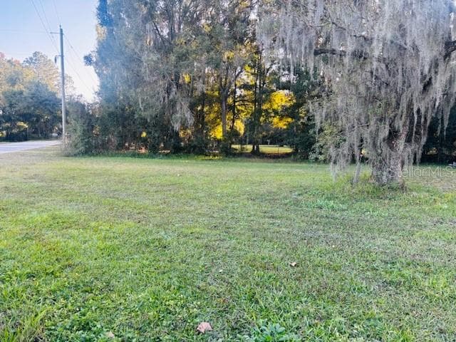 1819 UPPER ROAD, WESLEY CHAPEL, FL 33543 photo 4