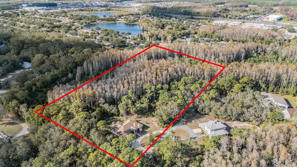 1925 SCHAER WAY, ODESSA, FL 33556 photo 2