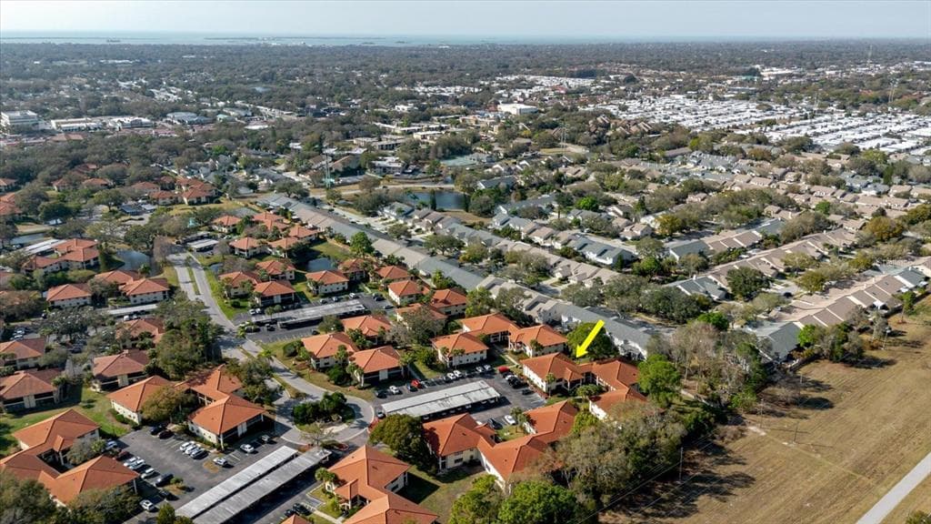 1201 HAMMOCK PINE BOULEVARD Unit 1201, CLEARWATER, FL 33761 photo 3