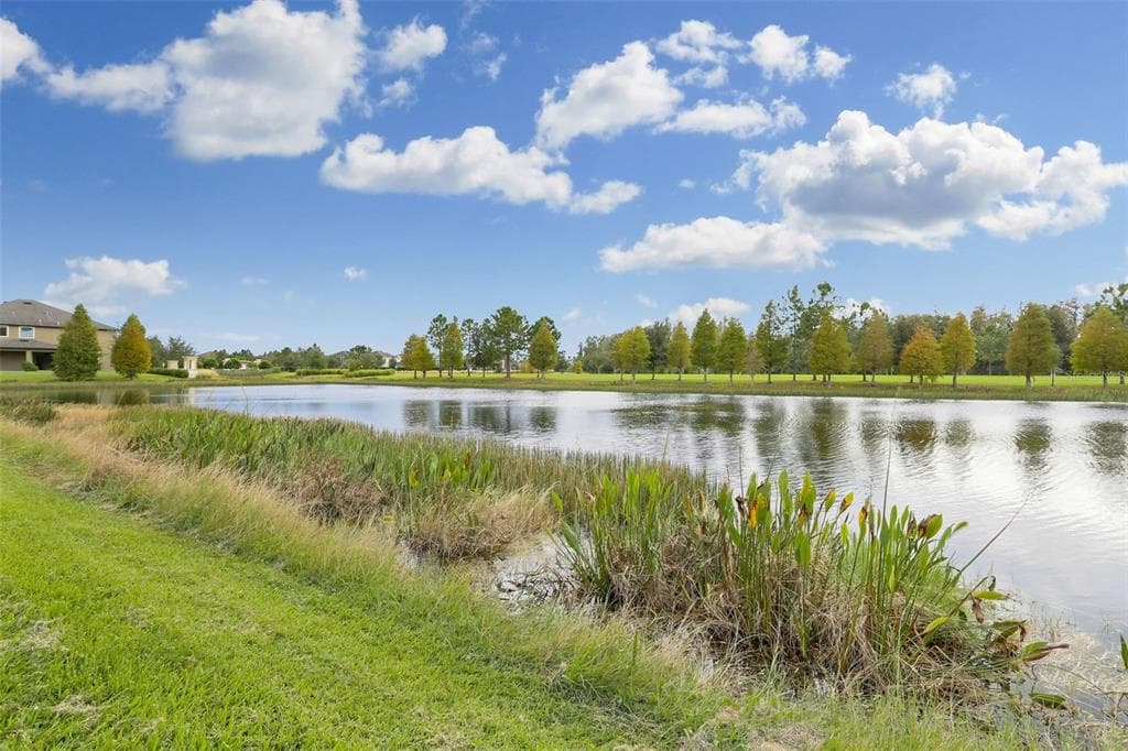 19426 WHISPERING BROOK DRIVE, TAMPA, FL, 33647 photo 4