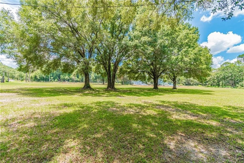 1453 CREEK Road, WESLEY CHAPEL, FL 33543 photo 5