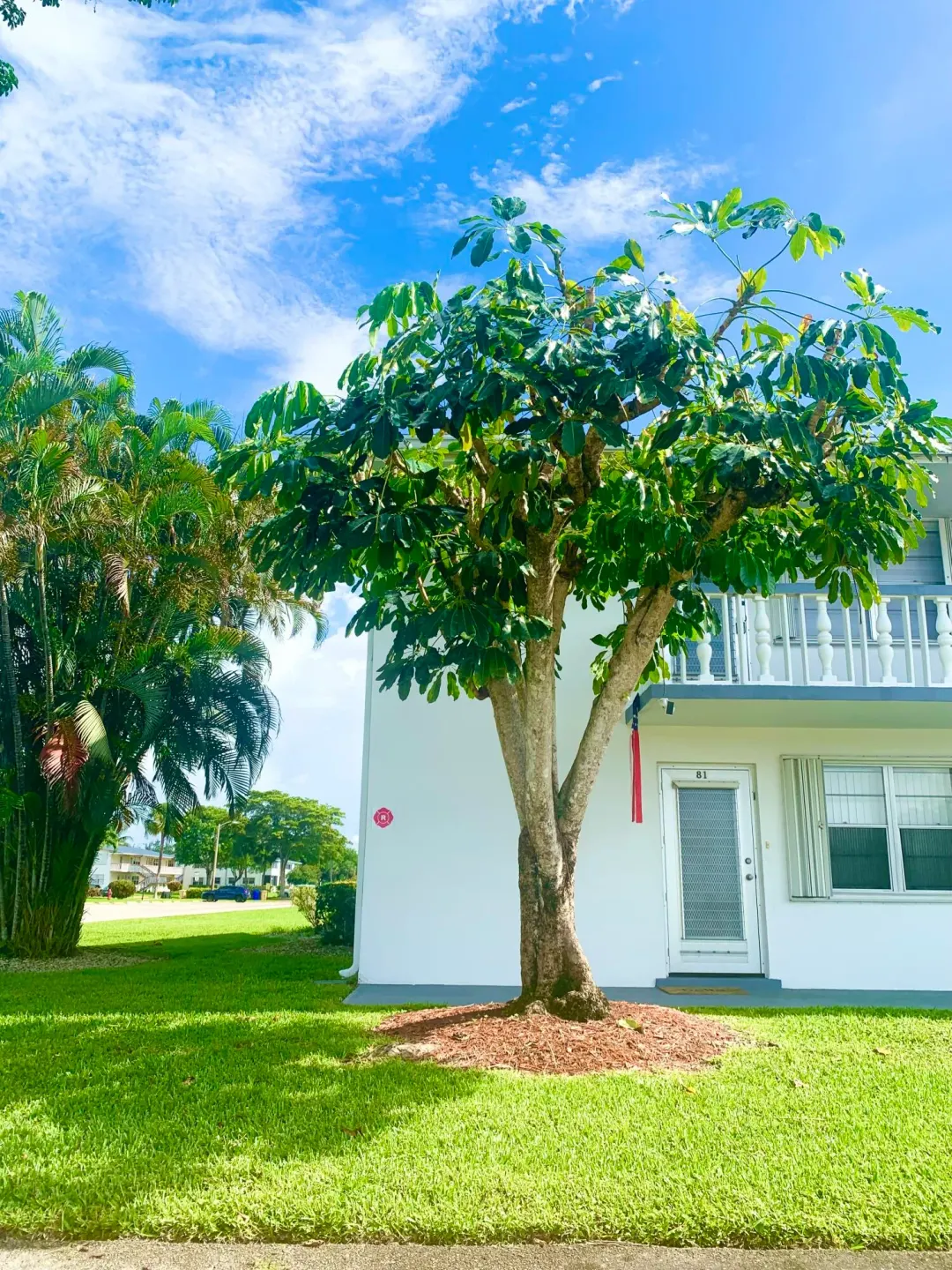 81 Kingswood E, West Palm Beach, FL 33417