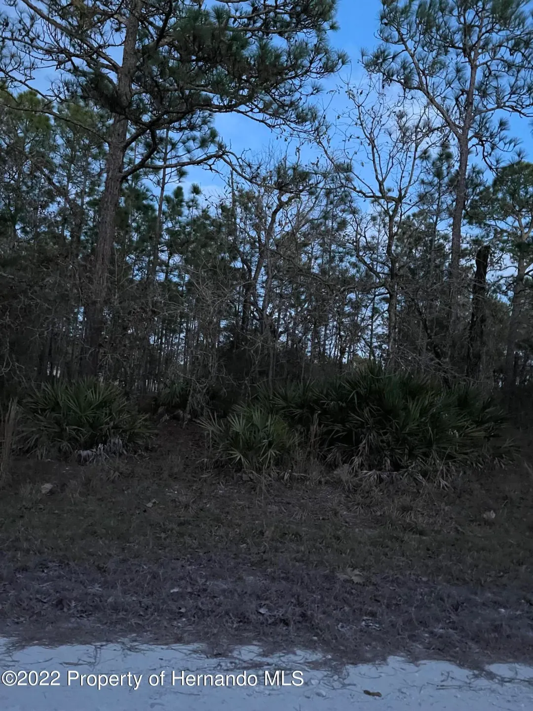 0 Malibar Rd, Weeki Wachee, FL, 34614