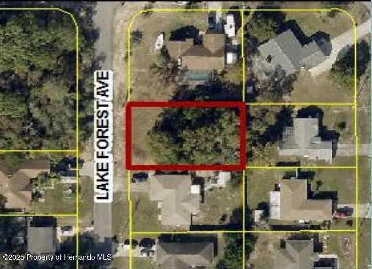 0 Lake Forest Avenue, Spring Hill, FL, 34609