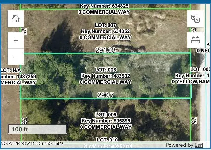 0 Commercial Way, Weeki Wachee, FL, 34614