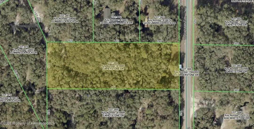 0 Wheystone Drive, Webster, FL, 33597