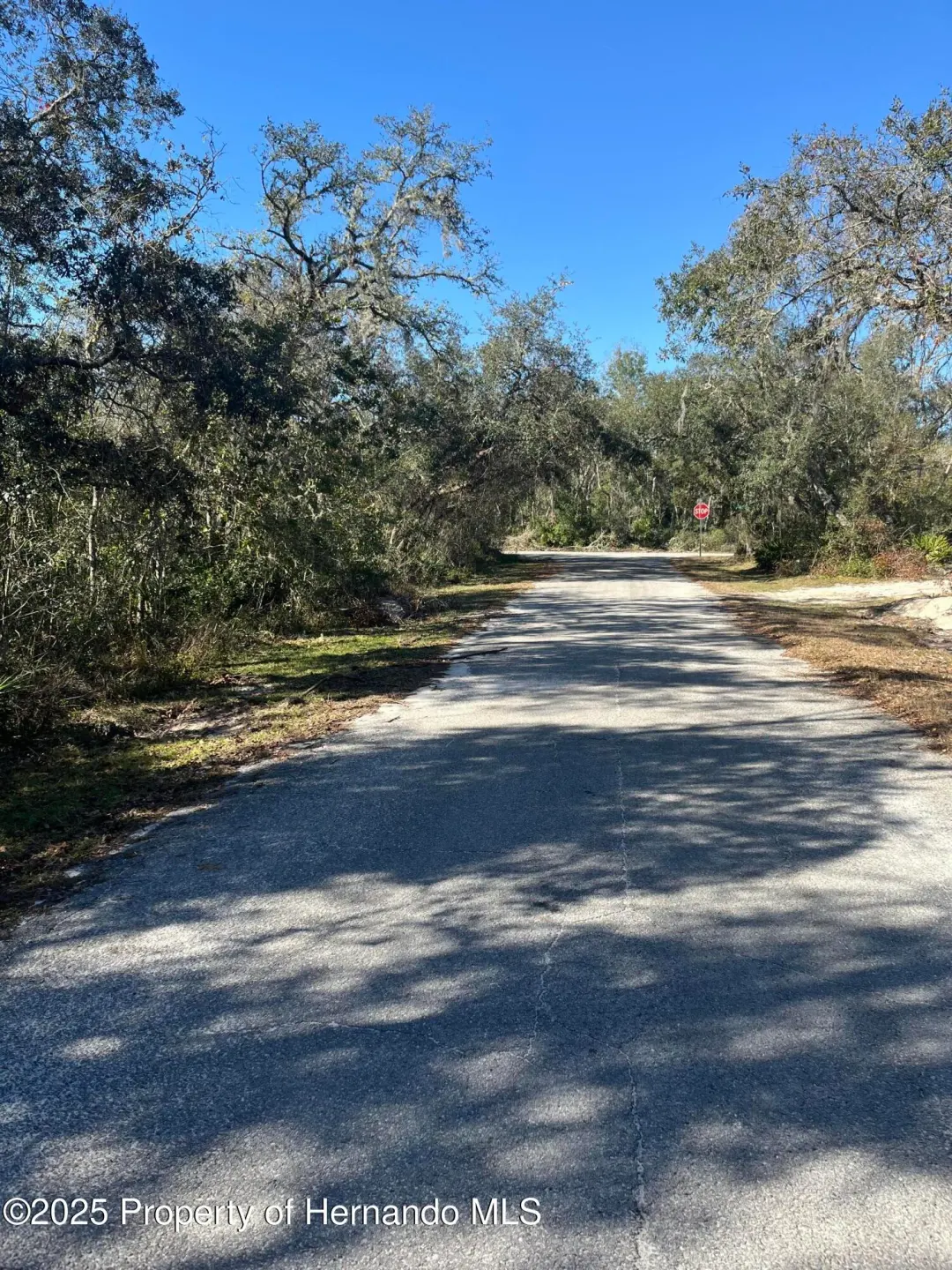 0 Excalibur Road, Webster, FL, 33597